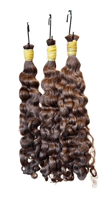 Burmese curly